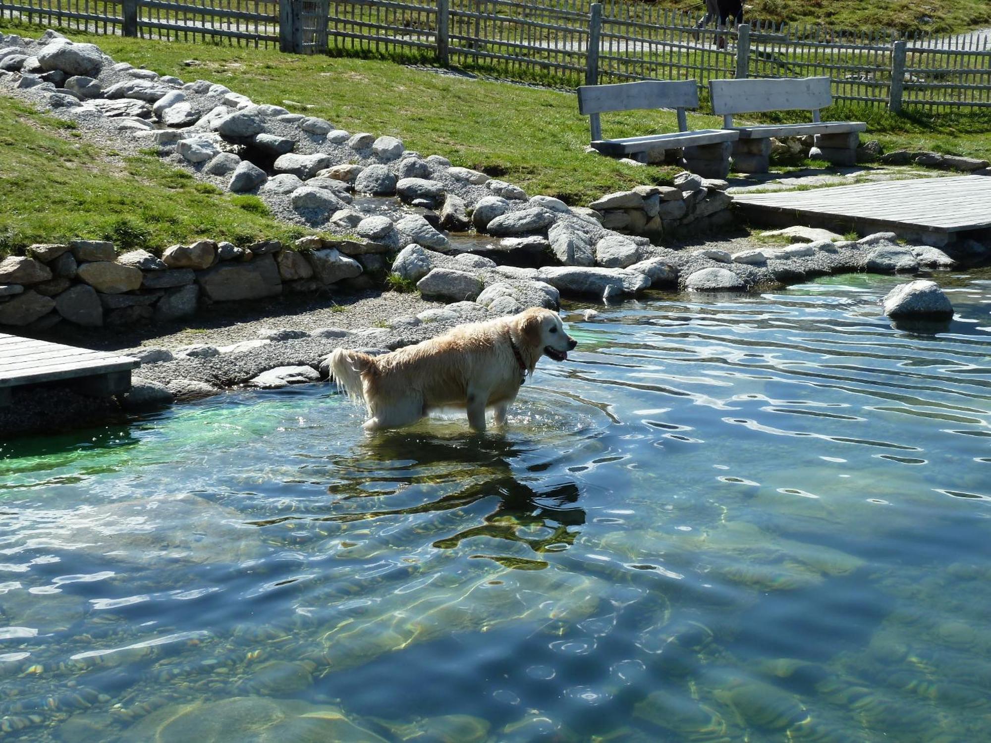 Wasserfalle *